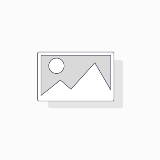 T480S-5-8-256-8-FR-T